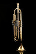 gold trumpet in night gold trumpet in night