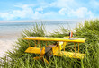 Vintage toy plane in tall grass at the beach