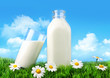 Bottle and glass of milk with grass and daisies Bottle and glass of milk with grass and daisies