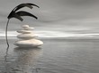 Grey zen Grey zen