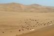 dune de swakopmund