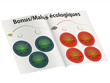 Brochure bonus malus écologiques
