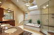 Modern master bath with skylight