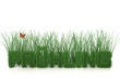 Schriftzug Frühlingsgras