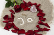 Hochzeitsantrag 5868