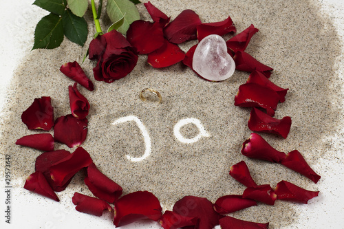Foto: Hochzeitsantrag 5868 Hochzeitsantrag 5868