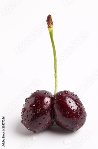 Photo: Ripe Wet Double Cherry Stem Ripe Wet Double Cherry Stem