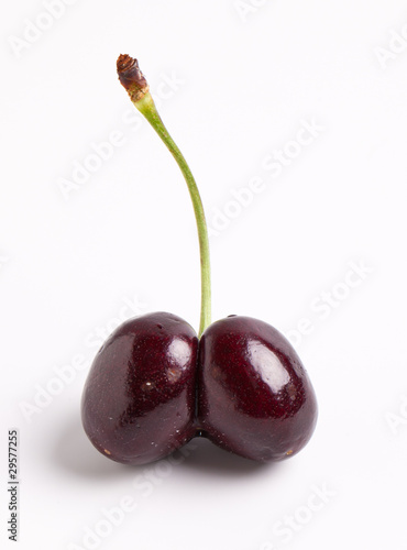 Photo: Ripe Double Cherry Stem Ripe Double Cherry Stem
