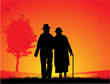 Older married couple - a walk in the park