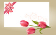 Blank white visit card with pink bow and tulips