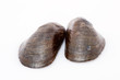 Miesmuschelschalen vor weissem Hintergrund