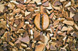 soluble coffee and coffee beans