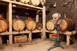 Wine Cellar in Bulgaria Wine Cellar in Bulgaria