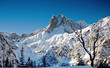 Winter wonderland