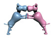 Chiens amoureux