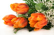 Tulpenstrauß