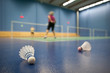 badminton - badminton courts with players competing; shuttlecock