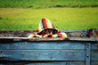Foto: Ferien Ferien
