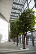 bioarchitecture