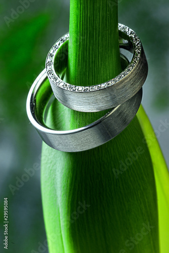 Photo: Eheringe Eheringe