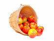 Apples in a wooden farmer's basket Apples in a wooden farmer's basket
