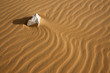 Stone and Sand