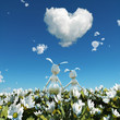 two easter rabbit on white flower field