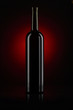 bottle with red wine