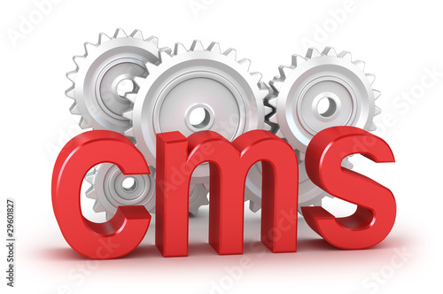 Illustration: cms word with cogs in background isolated on white cms word with cogs in background isolated on white