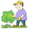 Gardener cuts a bush