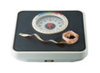 The scale