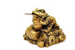 frog