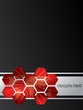 Hexagon map brochure design Hexagon map brochure design