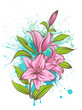 Lily