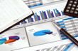 Report in Charts and Graphs