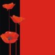 Vector illustration a red flowers on a black background
