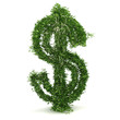 3d rendering of a dollar symbol made of ivy 3d rendering of a dollar symbol made of ivy