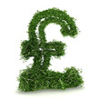 3d rendering of a sterling symbol made of ivy 3d rendering of a sterling symbol made of ivy