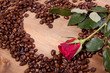 Coffee beans and rose Coffee beans and rose