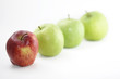The Special Apple The Special Apple