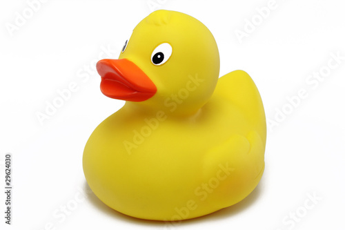 Foto: badeente badeente