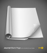 blank journal page