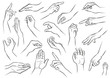 Hand, Hände, Haltungen