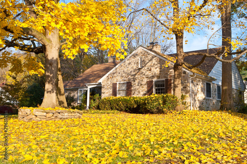 Photo: House Philadelphia Yellow Fall Autumn Leaves Tree House Philadelphia Yellow Fall Autumn Leaves Tree