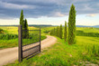 Photo en ligne au meilleur prix Toskana Kapelle - Tuscany chapel 07