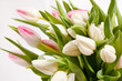 beautiful tulips beautiful tulips