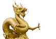 The great sea dragon of Indian ocean