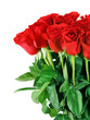bouquet of red roses