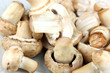 Fresh mushrooms