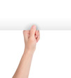Photo: Hand Holding Blank White Paper Up Hand Holding Blank White Paper Up